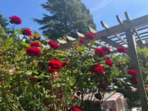 Cozy 3BR Villa · Garden View · Near Beach, short & long term rent , Local foods