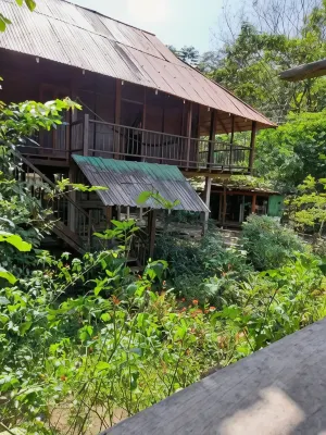 Cabaña Los Termales Hotels in Nuquí