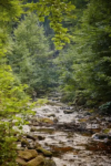 Kurpark Flair Hotel Im Ilsetal