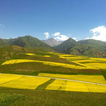 Qilian Wangzhuoyuan Farm Stay