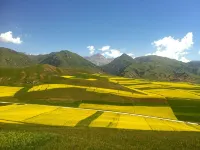Qilian Wangzhuoyuan Farm Stay