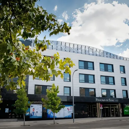 Sercotel Princesa de Eboli Отели в г. Пинто