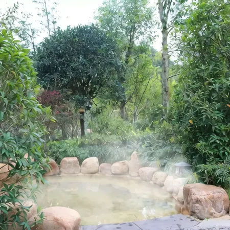 Wan Xiang Hot Spring Malong Courtyard