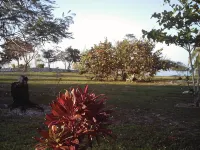 PARADISE CREEK COTTAGES ON THE BEACH. - Wifi
