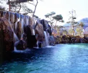 Kinugawa Park Hotels - Pools
