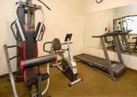 Quality Inn Durand I-69 - Phòng Gym