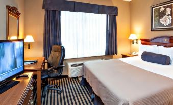 Mountain Inn & Suites Flat Rock