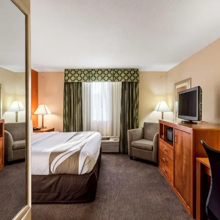 Comfort Inn & Suites Nashville Downtown - Stadium