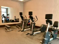 Holiday Inn & Suites NASHVILLE DOWNTOWN - BROADWAY by IHG - ジム