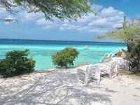 Beach Front Honeymoon Hotels in Savaneta