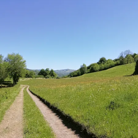 Country house Marmanhac (CANTAL)