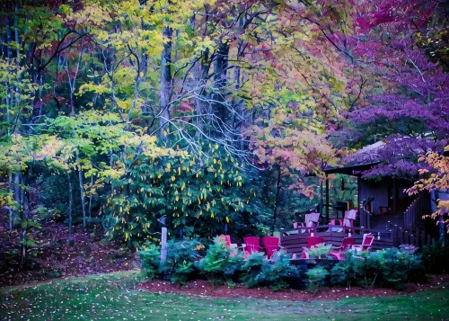 Awesome Cottage, Views, Waterfalls, Cute animals, streams, privacy, easy access - 3-Star