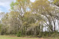 Cozy 2 bedroom Cabin on 5 acres with pond view.