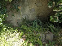 Bouganville Portovenere – Beachfront – Invaluable Landing stage on the sea - 3-Star