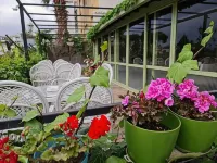 ALİBABAM Apart Otel - Bintang 2