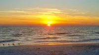 Gulf & Sunset Views!!!  1BR Apt. C is a Centrally Located, walk to all location - 4-Star