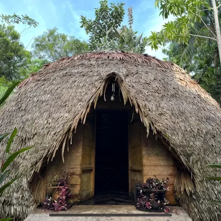 PALMAYACU SAS