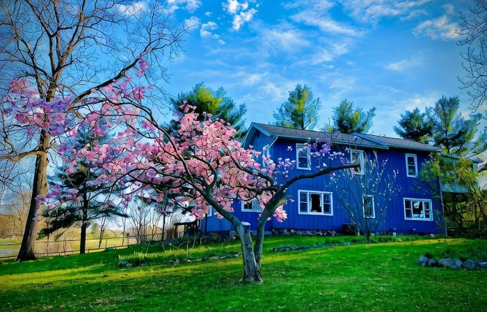Inn Between the Lakes