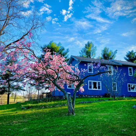 Inn Between the Lakes