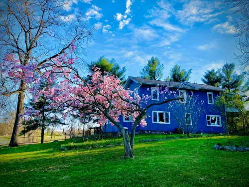Inn Between the Lakes