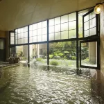 Kuretake - Hot Springs