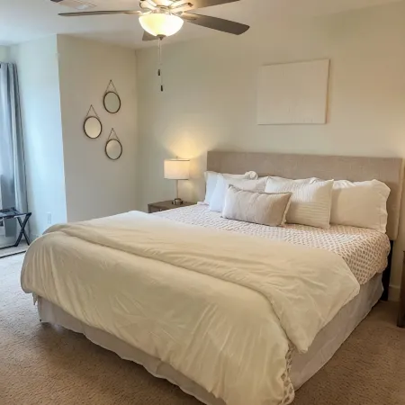 Back To College! 3 Bed Rooms 2.5 Bathroom- College Street near 280