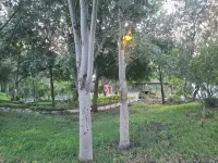 Adrenaline Lodge and Tours - 2-Star