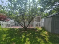 Private 1 bedroom apt in a quiet neighborhood, close to all! - Apartments