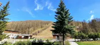 Maison des Skieur- Ski Out - Apartments