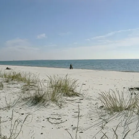 Beach Front Dauphin Island  - Large Condo Sleeps 6 Dauphin Surf Club
