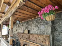 Pensiunea Ileana - Homestays