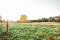 Northwoods Country Getaway! 40 acres to play and enjoy! No Cleaning Fee!! - Wifi