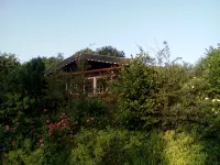 Very cozy Scandinavian log house in a quiet location on a large plot - 2-Star