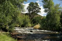 Luxurious Riverfront Cabin on the Frying Pan River - 1 block to Basalt - Kitchens