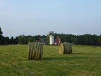 Elegant Cottage on 600 Acre Horse & Livestock Farm - 3-Star