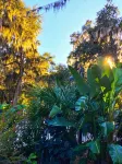 Retreat at Crystal Manatee - Wifi