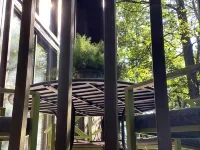 Acorn Acre luxury 3-bed A-frame cabin in the woods - Homestays