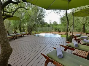 Tambuti Lodge