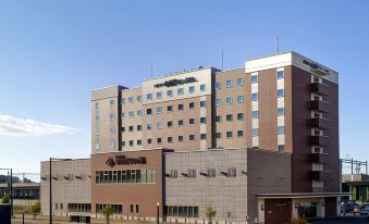 a large building with a brown and beige facade is surrounded by other buildings on a street at Hotel WBF Grande Asahikawa（Natural Hot Spring MinaPirika No Yu)