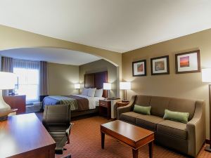 Comfort Inn Apex - Holly Springs