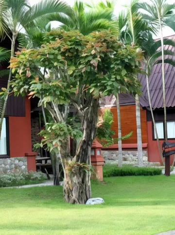 รูปภาพของศิลามณี รีสอร์ท & สปา