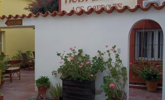 Hospedaje Los Cardones