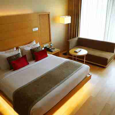 Sayaji Raipur Rooms