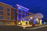 Holiday Inn Express & Suites ANN ARBOR WEST by IHG - Parkering