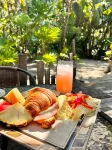 Jungle Cocoon - Homestays