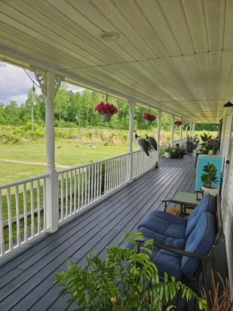 Phoenix Farms Vineyard