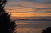 Welcome to Apartmen Palatisa