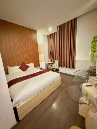 Phi Long Hotel Отели в г. Туихоа