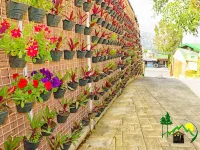 Elmar Cabin Hotels in La Trinidad