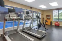 Hilton Garden Inn Lexington Hamburg - 3 estrellas